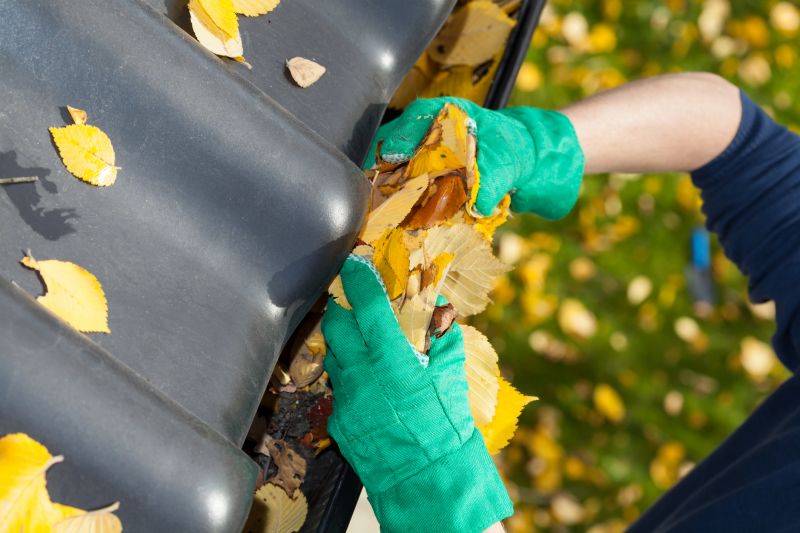 Seasonal Gutter Maintenance